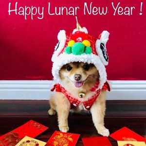 Lunar New Year Lion Dog Costume